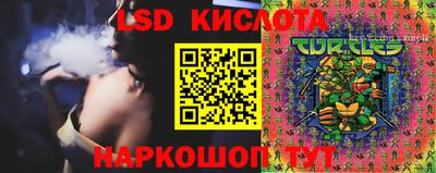 гидропоника Будённовск