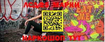 гидропоника Будённовск
