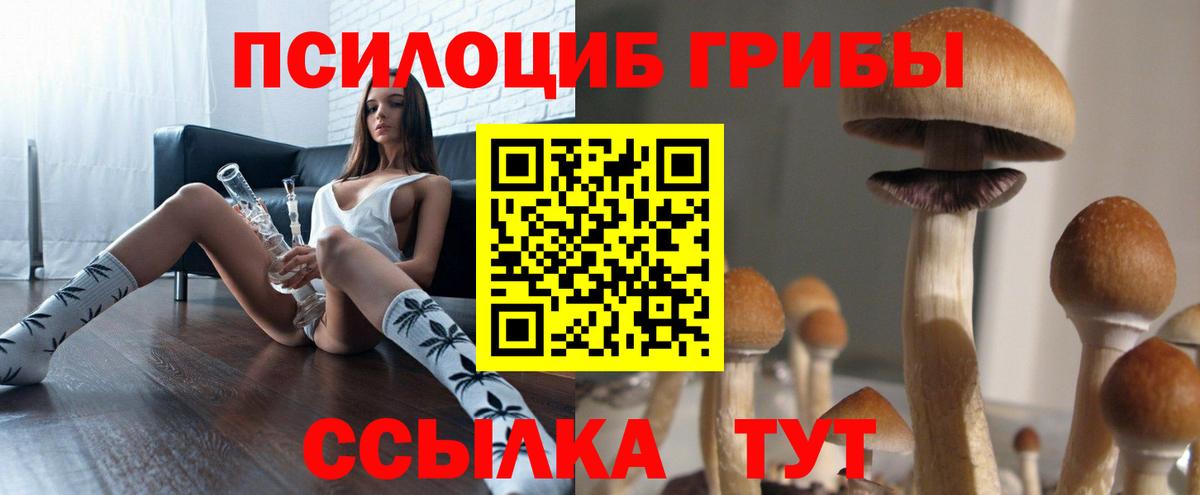 Псилоцибиновые грибы мицелий  Вход с VPN  Кольчугино  Псилоцибиновые грибы мухоморы 